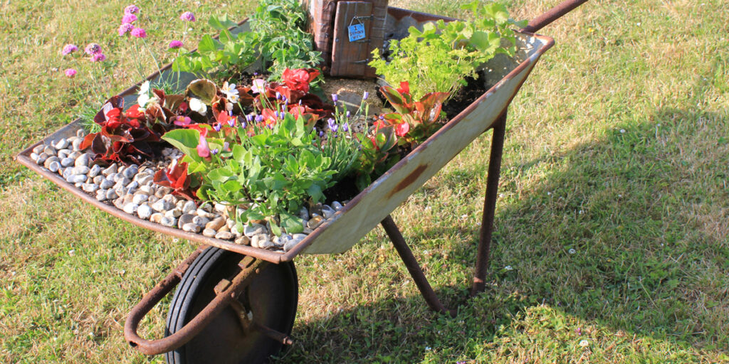 Plant On Wheel